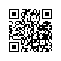 9161290675 BOLT