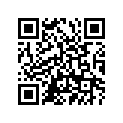 91690-25016-00 Штифт