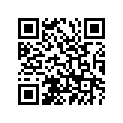 91830-24016-00 Втулка Металлическая