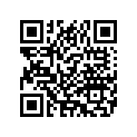 9198203B MIRRORRIGHTSHORTSTEMB