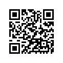 92022228 ШАЙБА