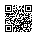 920251100 Shim, 2.50t