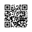 920251110 Shim, 3.00t