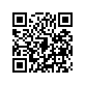 920261621 Spacer, Fork, L=119