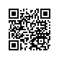 92033-Y017 RING-SNAP