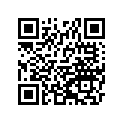 92037106