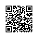 920381051 Key, Sunk