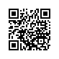 920383703 Key, Woodruff