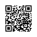 920393714 Rivet