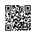 92043-Y013 PIN,10X16