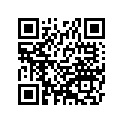 920431064
