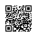 920431303