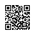 92043Y027 PIN,12X20
