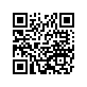 92045031