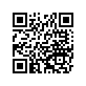 92048-0017 RACE