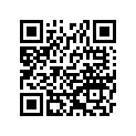 920481103 Втулка