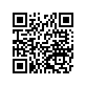 92055-0095 リング(0)
