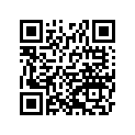 92055-1619 RING-O,27.7X2.4
