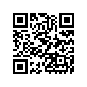 920551119 Ring-0, 27mm
