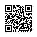 920570028 Chain, Did 06hd(f) Sdh