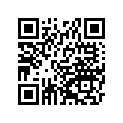 920570032 Chain, Cam