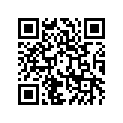 920571388 Chain, Drive (option)