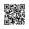 92063-1371 ジエツト(メイン),#168