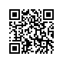 92065062