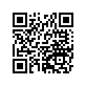 92065081