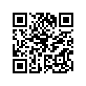 92065528 Washer
