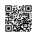 920667503 Plug