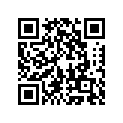 920751060