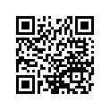 920751763 Damper