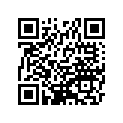 920751981 Damper