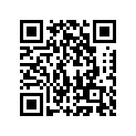 92075317