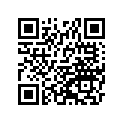 92081107