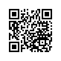 920811138