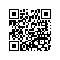 920811604
