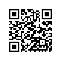 920811733