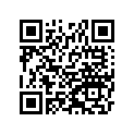 921101203 Ключ