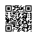 92111-36C00-29L