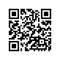 921511166 Bolt
