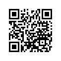921511299 Bolt, L=17