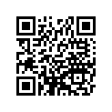 921511337 Bolt