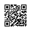 921511636 Bolt