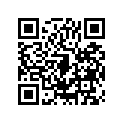 921511643 Bolt