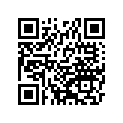 921541479 Bolt