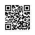 921541626 Bolt