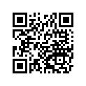 92180-0281 SHIM,T=1.0
