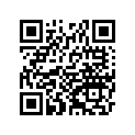 92180-1324 シム,T=0.13